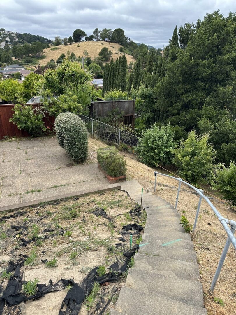 A view of the back yard from above.