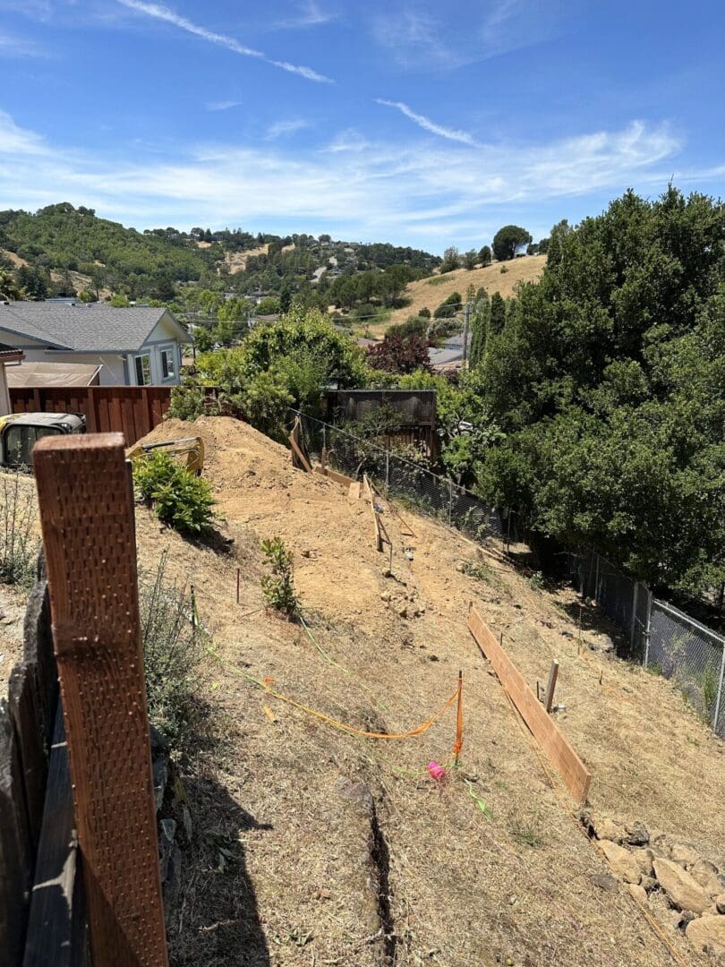 A view of the back yard from above.